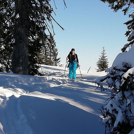 Pension Kasbergblick Scharnstein Buitenkant foto