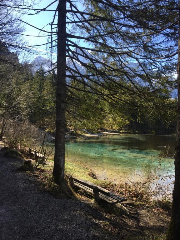 Pension Kasbergblick Scharnstein Buitenkant foto