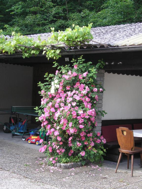 Pension Kasbergblick Scharnstein Buitenkant foto