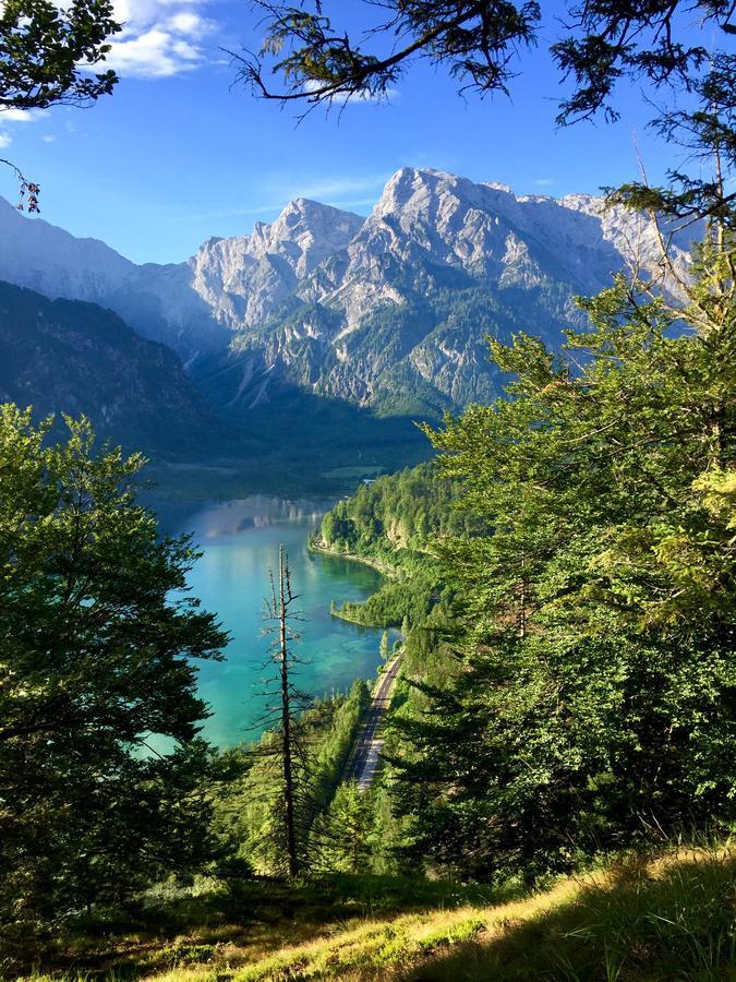 Pension Kasbergblick Scharnstein Buitenkant foto