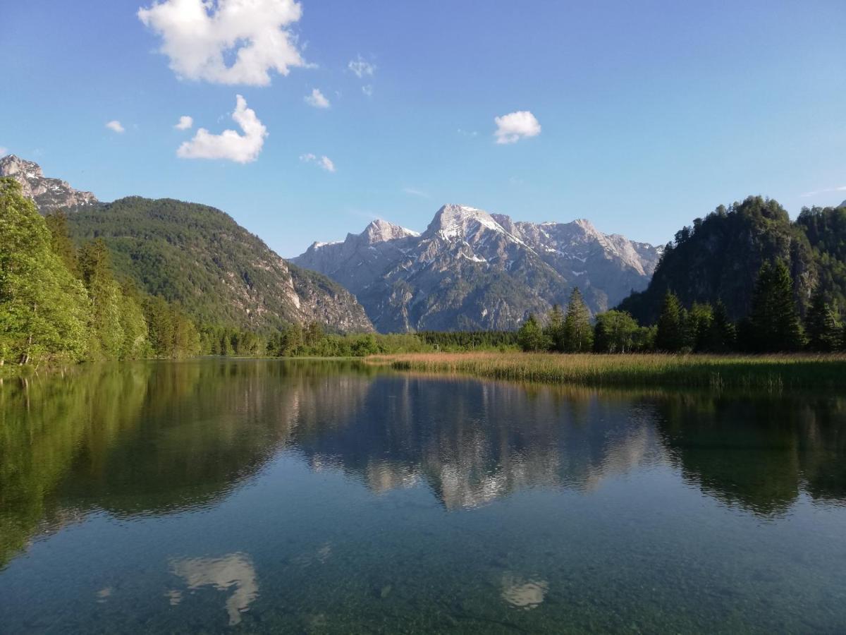 Pension Kasbergblick Scharnstein Buitenkant foto