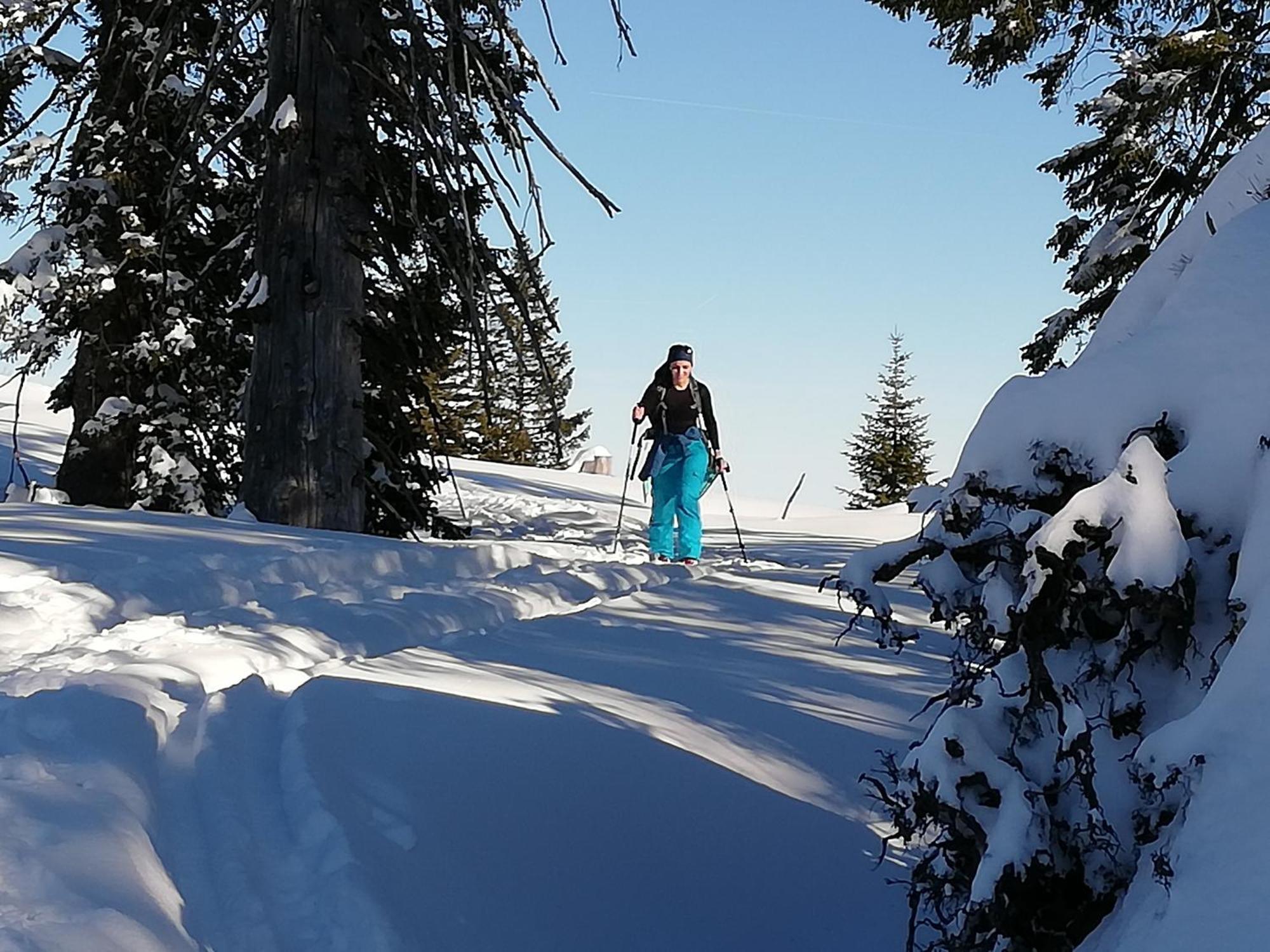 Pension Kasbergblick Scharnstein Buitenkant foto